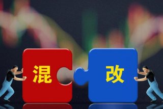 双百学习圈（双百学圈app下载）