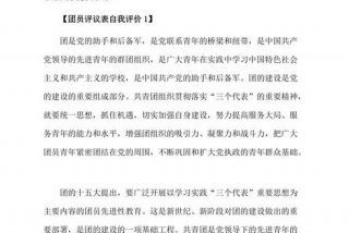 团学小组自评，团学小组自评报告