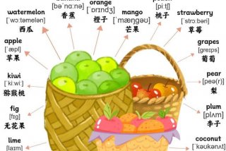 关于学英语单词、学英语的英语单词