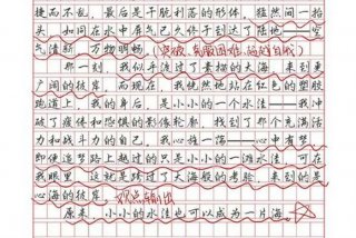 作文学习的快乐300字
