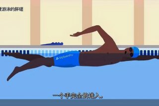 游泳教学视频、自游式游泳教学视频