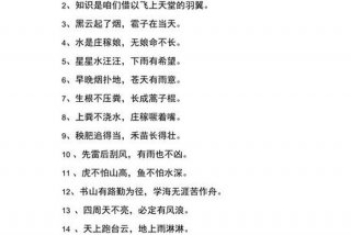 学习谚语一年级、谚语一年级有哪些