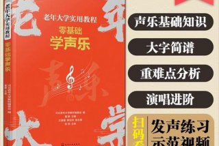 声乐教学视频全套 - 声乐教学视频零基础