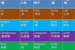 动物学动物怎么写（动物学的英文怎么说）