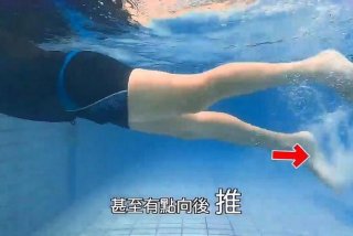 自由泳学习慢动作视频，自由泳的慢动作视频