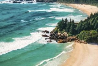 自然学习法视频大全（自然学具）