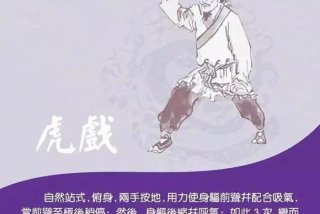 基础学习全套五禽戏 学五禽戏的视频