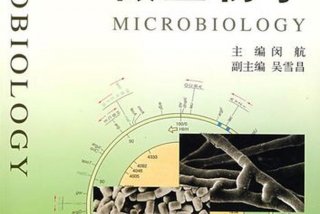 微学习河北微课大赛（2021年河北省微课大赛）
