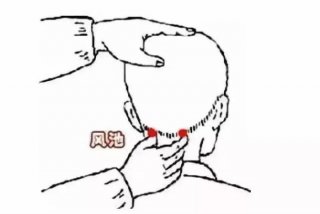 学习推拿按摩手法全过程（推拿按摩基本手法教程视频）