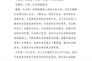 大学生实践报告3000字，大学生实践报告3000字论文格式