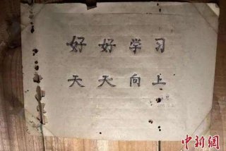 好好学习英文翻译，好好学习天天向上用英语怎么说