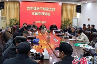 学习张富清主题党日活动方案，开展丰富主题党日活动