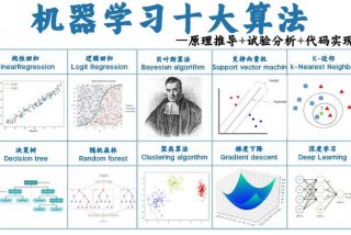 学算法是什么专业、学算法有什么好处