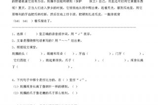 阅读题训练、三年级下册阅读题训练