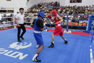 拳击学习机构报名费用、拳击培训一月学费多少