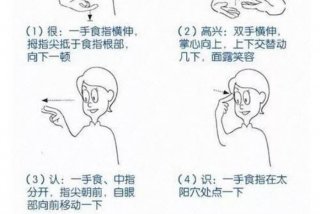 零基础学手语 零基础学手语视频
