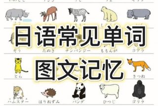 怎样学日语最有效，怎么学日语