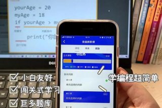 小学生自学编程软件、小学生学编程app哪个好