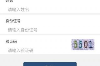 学籍号查询平台，上海中小学生学籍号查询平台