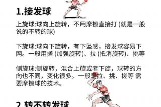 学习乒乓球基础 初学乒乓球基本功教程