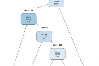 决策树学习率参数是什么，决策树训练模型