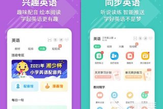 英语入门学习软件（英语入门app免费）