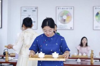 学学茶道文化 学茶道的培训学校