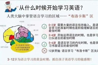 嗯刚开始学英语 - 刚刚学英语
