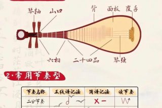 学琵琶视频教学 免费学琵琶教学视频