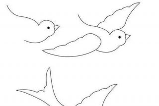 绘画学习零基础速成班 - 绘画基础怎么学