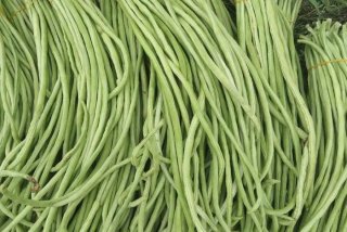 有机化学习题讲解 有机化学例题及解析