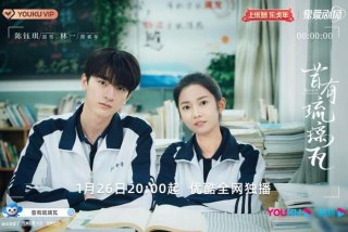 从高中到大学的校园电视剧（最火的校园青春偶像剧）