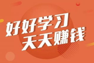 学习挣钱的视频（努力赚钱的视频）