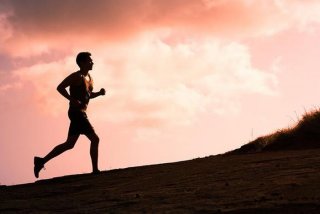 每天学习谚语 学谚语的好处