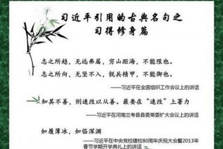 学习名句引用；引用名言警句