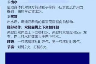 学游泳的基础知识；学游泳的基本要领