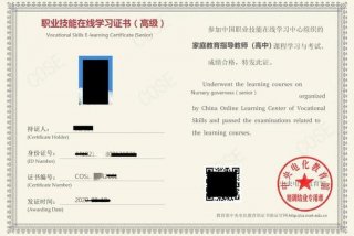 学习能力指导师报考条件（学能指导师职业技能证书）