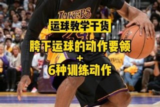 如何快速学会篮球（如何快速学会篮球胯下）