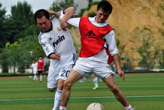 参加学习情况，培养教育考察情况