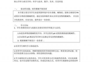 项目化学习设计（项目化教学设计案例）