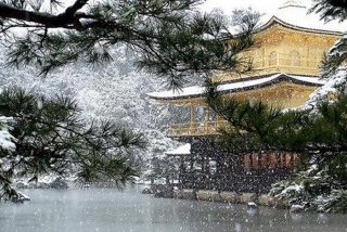 雪曦的意思 - 雪婼晨曦怎么读