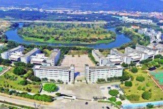 泰雅学校怎么样、泰雅科技有限公司