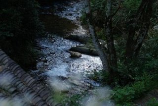 摄影学习班洛阳 洛阳摄影学校