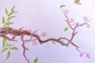 学习彩铅的app，自学彩铅画入门教程app