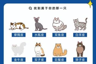 星座学真的准吗（星座学是迷信吗）