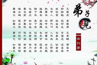 国学习惯（学好国学）