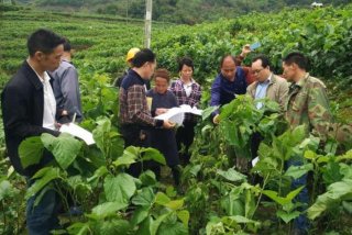 学习农业课程 关于农业专业的课程视频