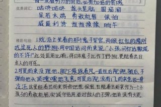 要好好学写字阅读短文共有几句话 - 要好好学字阅读理解