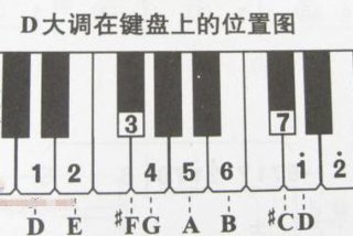 电子琴入门指法图；电子琴入门教程指法