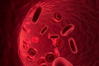 壁纸血型过敏源 血过敏原